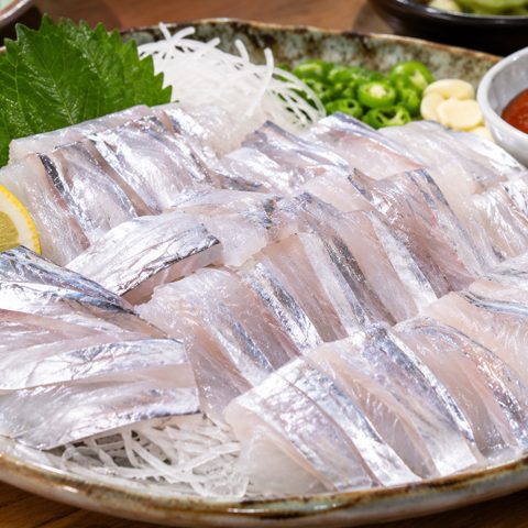 갈치