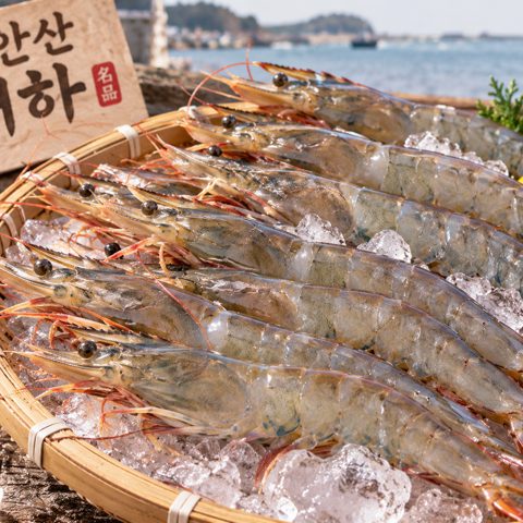 대하